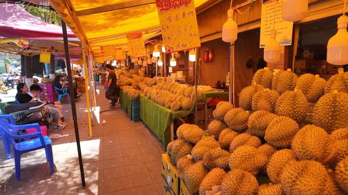 中老鐵路 客貨運雙雙突破5000萬，合作共贏之路改變我們的生活與貨機車配件行業